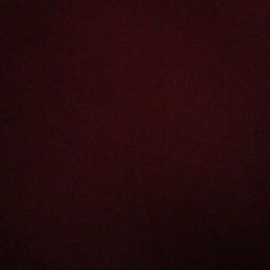 Meet your Posher, Josie